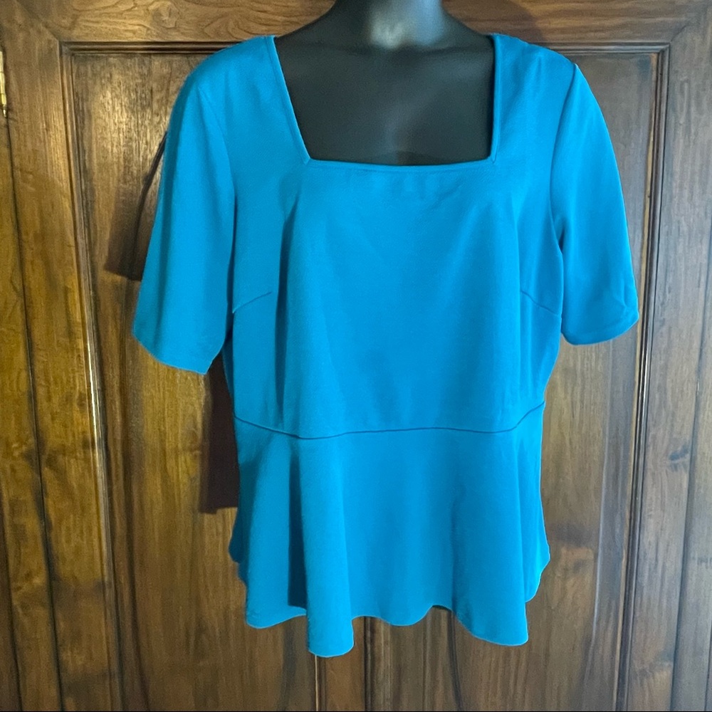 Ashley Stewart - short sleeve top (22/24W)